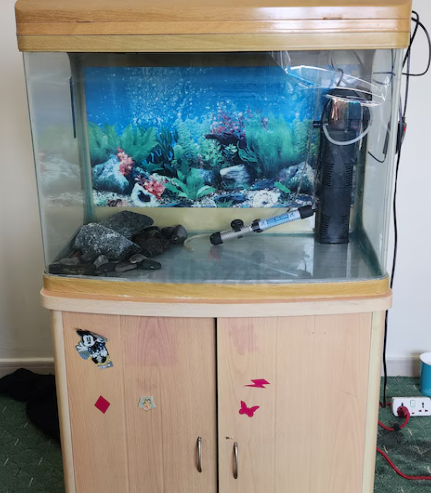 Aquarium with accessories