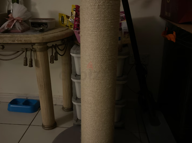 Cat scratching post