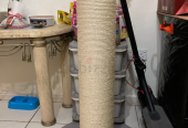 Cat scratching post