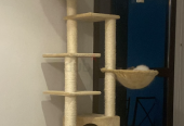 Cat Tree