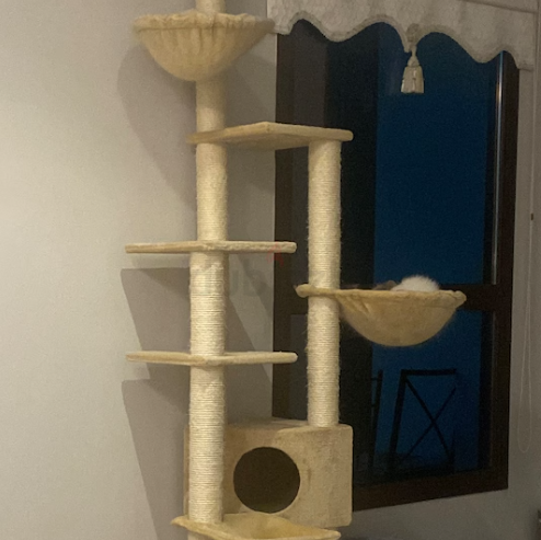 Cat Tree