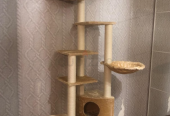 Cat Tree