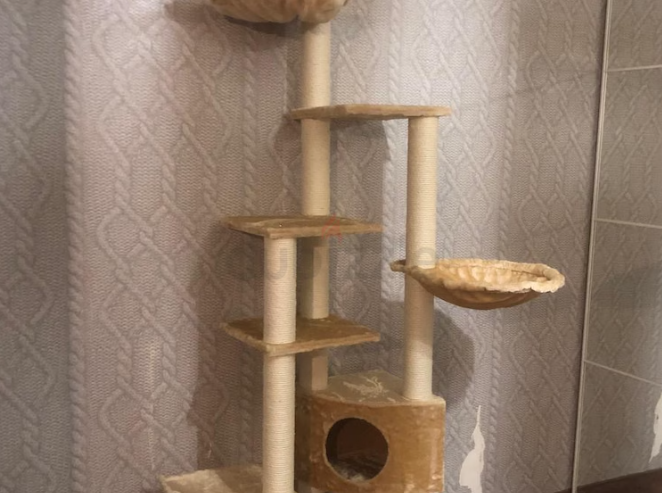 Cat Tree