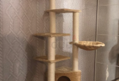 Cat Tree