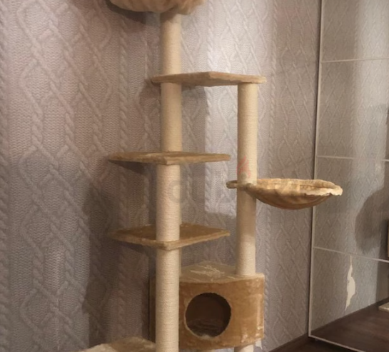 Cat Tree