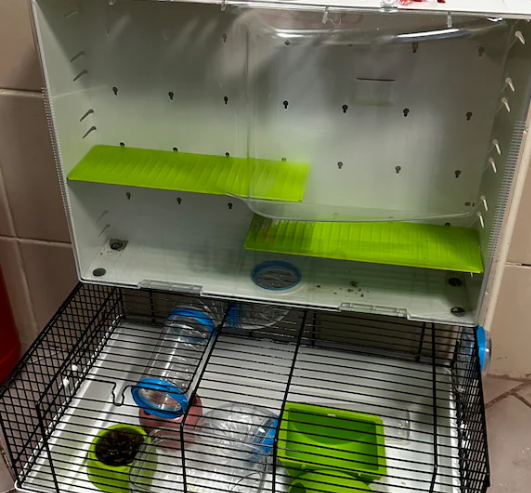 Cage for hamsters