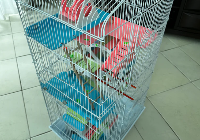 Hamster cage