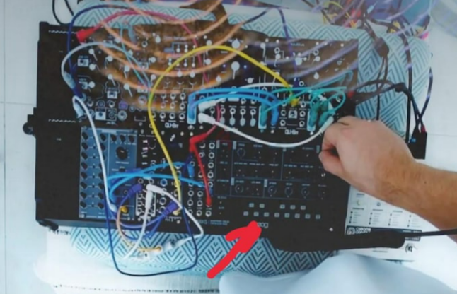 EURORACK MODULE Moog Mavis for modular synth