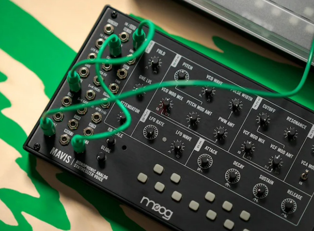 EURORACK MODULE Moog Mavis for modular synth