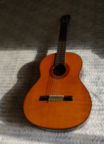 Guitar