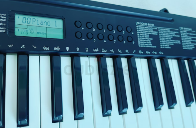 Casio Keyboard – CTK 245 with 49 full-size keys.