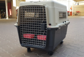 Dog carrier for air travel