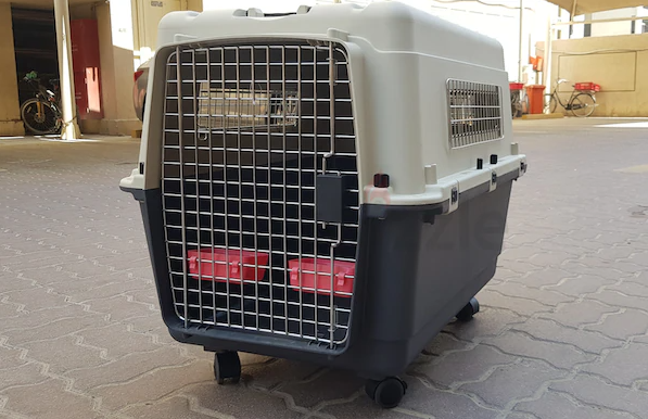 Dog carrier for air travel