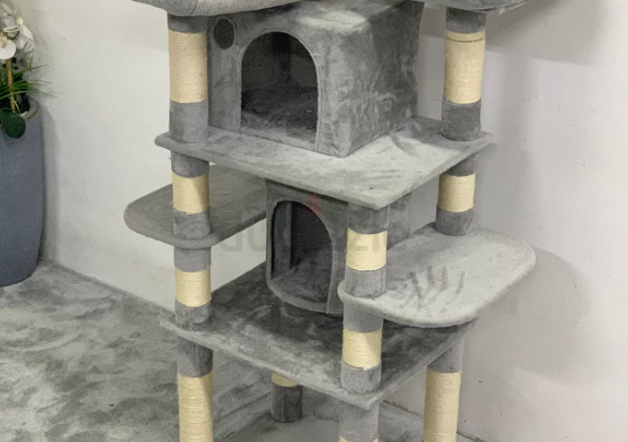 Cat House