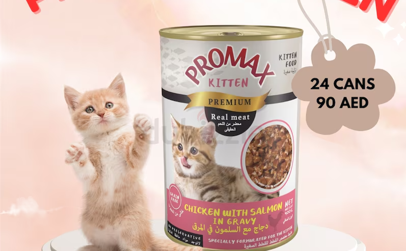 promax kitten ( wet food)