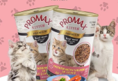 promax kitten ( wet food)