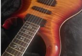 PRS 25th Anniversary 513