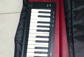 Korg keytar RK 100 S2