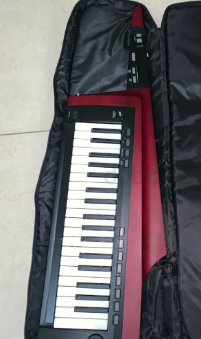 Korg keytar RK 100 S2