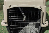 Dog / Car Air carrier