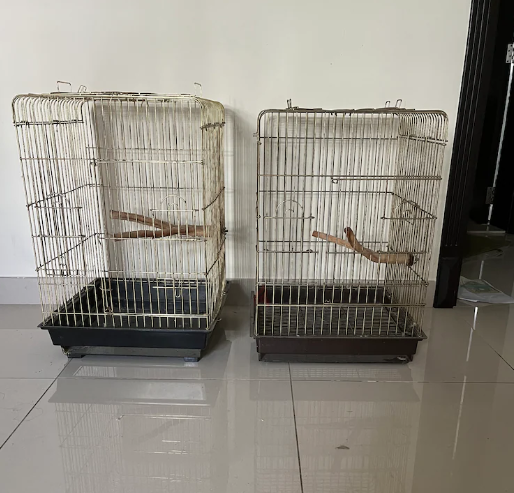 Bird Cages