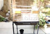 Big Bird Cage for sale