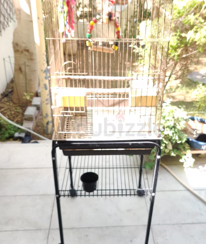 Big Bird Cage for sale