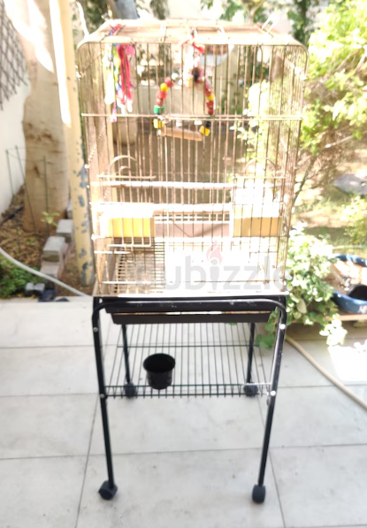 Big Bird Cage for sale