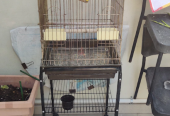 Big Bird Cage for sale