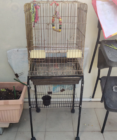 Big Bird Cage for sale