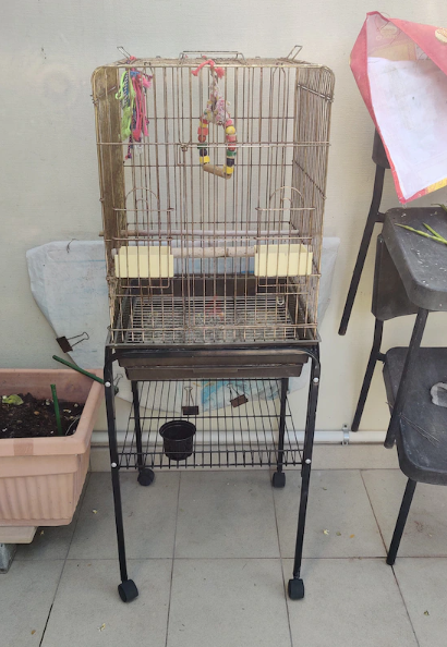 Big Bird Cage for sale