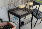 Big Bird Cage for sale