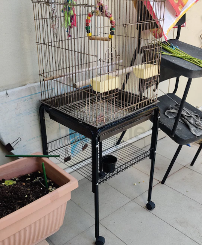 Big Bird Cage for sale