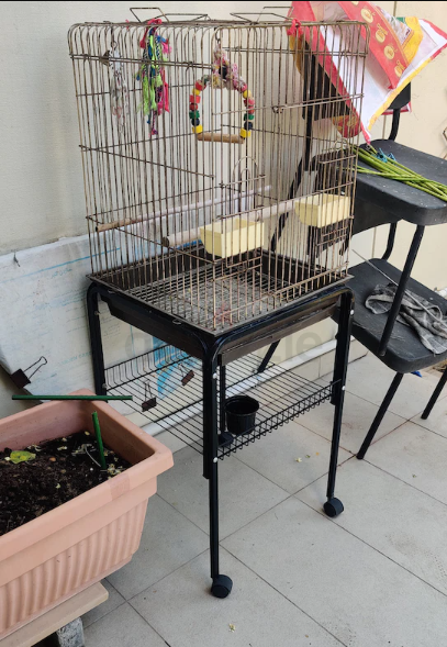 Big Bird Cage for sale