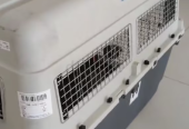 Dog Flight Travel crate