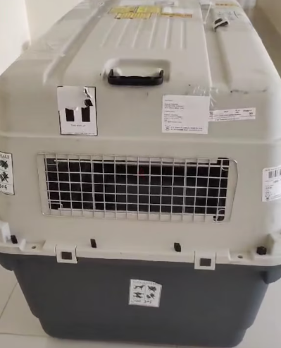 Dog Flight Travel crate