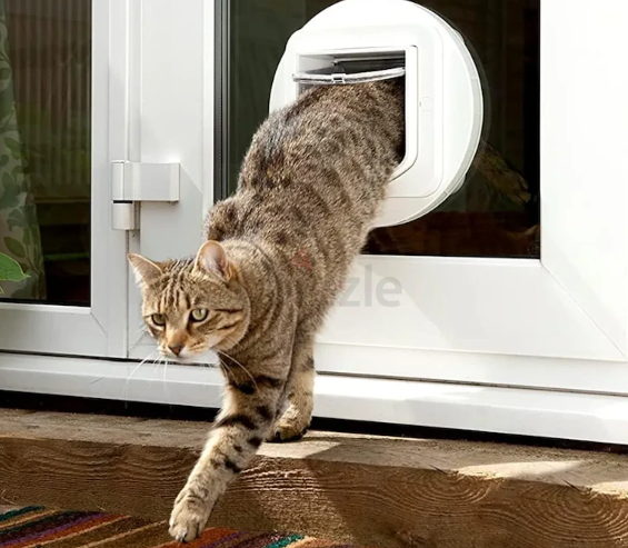 SureFlap Cat Flap with Microchip