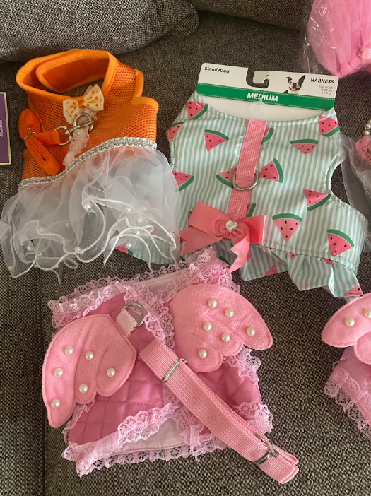 Dog Clothes and Accessories for small breeds price for all together all brand new