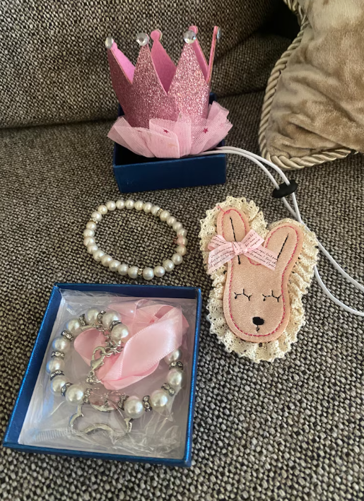 Dog Clothes and Accessories for small breeds price for all together all brand new