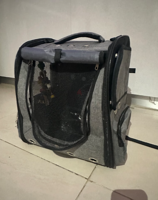 Pets, Cats and Bird Carrier Backpack Travel Parrot Bag Cage