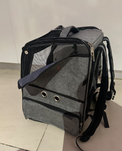 Pets, Cats and Bird Carrier Backpack Travel Parrot Bag Cage