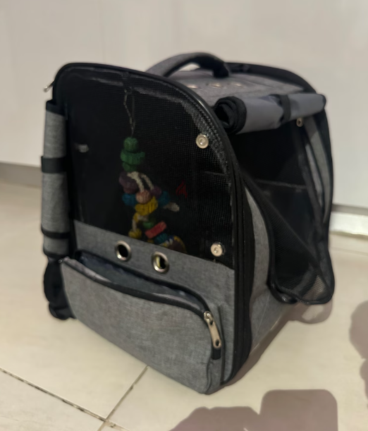 Pets, Cats and Bird Carrier Backpack Travel Parrot Bag Cage