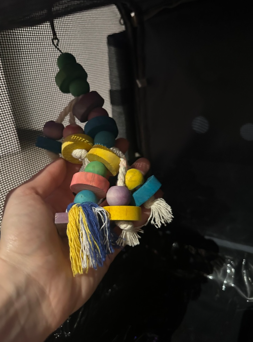 Pets, Cats and Bird Carrier Backpack Travel Parrot Bag Cage