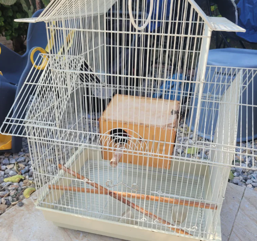 Bird cage