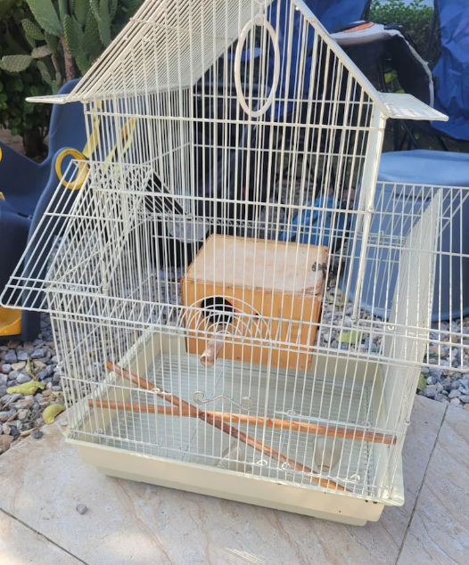 Bird cage
