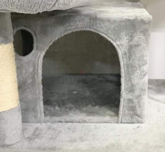 Cat House