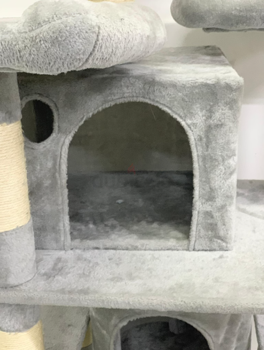 Cat House