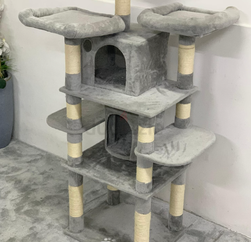 Cat House