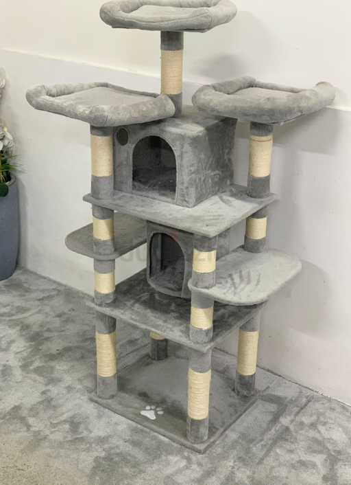 Cat House