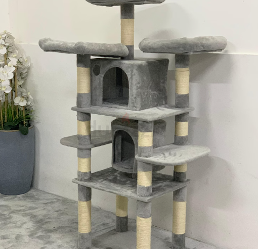 Cat House